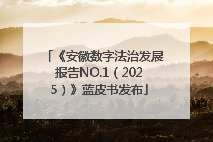 《安徽数字法治发展报告NO.1（2025）》蓝皮书发布