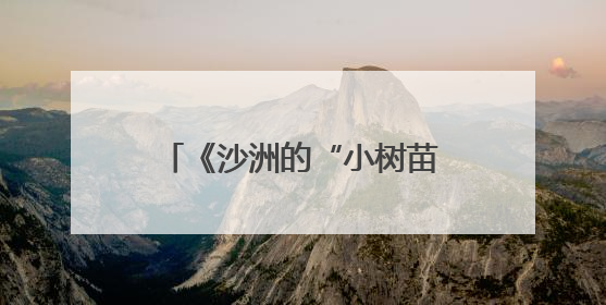 《沙洲的“小树苗”》：新时代中国少年的成长缩影