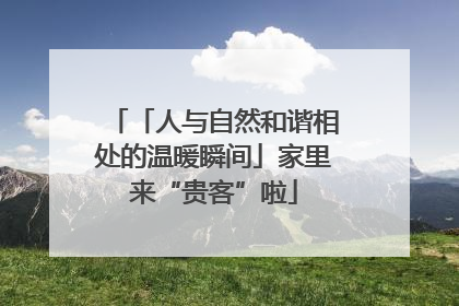 「人与自然和谐相处的温暖瞬间」家里来“贵客”啦
