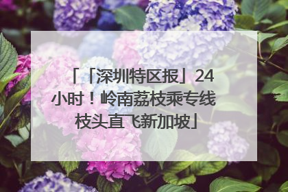 「深圳特区报」24小时！岭南荔枝乘专线 枝头直飞新加坡