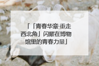 「青春华章·重走西北角」闪耀在博物馆里的青春力量