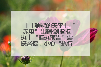 「驰骋的天平」“赤电”出鞘·剑指拒执︱“拒执预告”震撼督促，小心“执行”变“执刑”