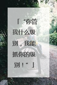 “你管我什么级别，我能抓你的级别！”