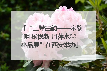 “三希墨韵——宋黎明 杨稳新 丹萍水墨小品展”在西安举办