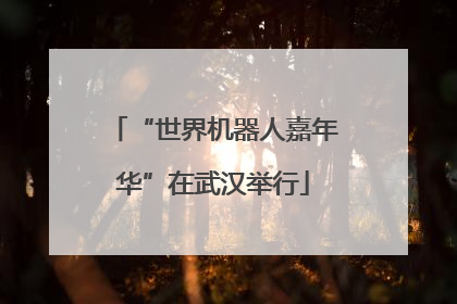 “世界机器人嘉年华”在武汉举行