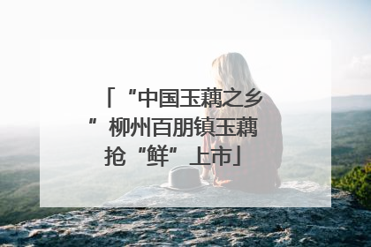 “中国玉藕之乡”柳州百朋镇玉藕抢“鲜”上市
