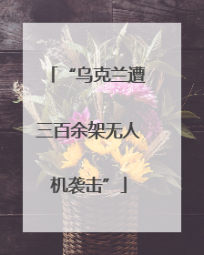 “乌克兰遭三百余架无人机袭击”