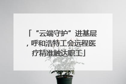 “云端守护”进基层，呼和浩特工会远程医疗精准触达职工