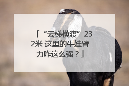 “云梯横渡”232米 这里的牛娃臂力咋这么强？