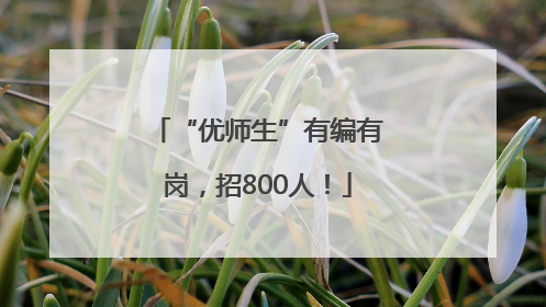 “优师生”有编有岗，招800人！