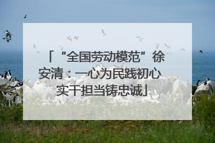“全国劳动模范”徐安清：一心为民践初心 实干担当铸忠诚