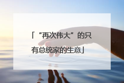 “再次伟大”的只有总统家的生意