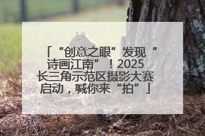 “创意之眼”发现“诗画江南”！2025长三角示范区摄影大赛启动，喊你来“拍”