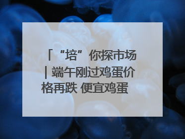 “培”你探市场｜端午刚过鸡蛋价格再跌 便宜鸡蛋还能吃多久？