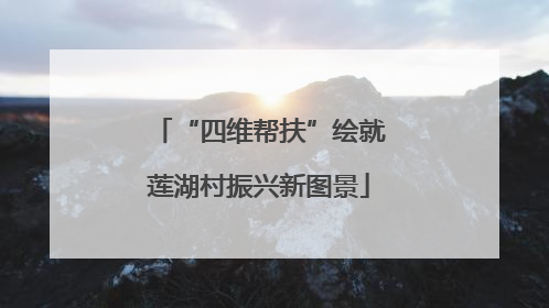 “四维帮扶”绘就莲湖村振兴新图景