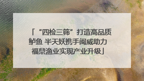 “四检三筛”打造高品质鲈鱼 半天妖携手闽威助力福鼎渔业实现产业升级