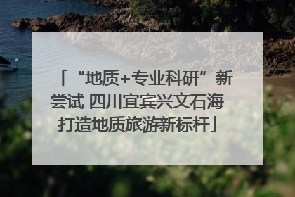 “地质+专业科研”新尝试 四川宜宾兴文石海打造地质旅游新标杆