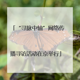 “寻脉中轴”网络传播寻访活动在京举行