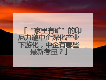 “家里有矿”的印尼力邀中企深化产业下游化，中企有哪些最新考量？