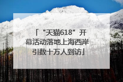 “天猫618”开幕活动落地上海西岸 引数十万人到访