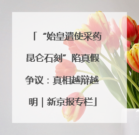 “始皇遣使采药昆仑石刻”陷真假争议：真相越辩越明｜新京报专栏