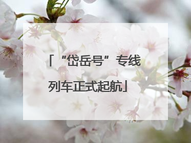 “岱岳号”专线列车正式起航
