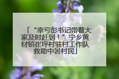 “幸亏彭书记带着大家及时赶到！”宁乡黄材镇崔坪村驻村工作队救助中暑村民