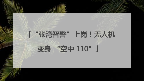 “张湾智警”上岗！无人机变身 “空中 110”