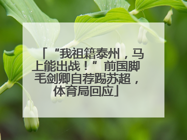 “我祖籍泰州，马上能出战！”前国脚毛剑卿自荐踢苏超，体育局回应
