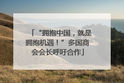 “拥抱中国，就是拥抱机遇！”多国商会会长呼吁合作