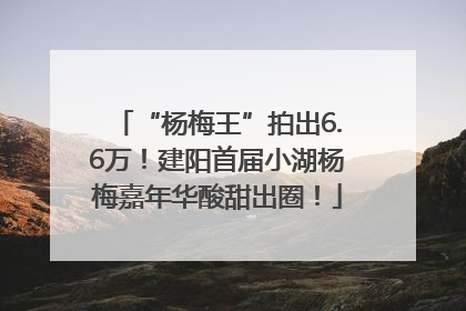 “杨梅王”拍出6.6万！建阳首届小湖杨梅嘉年华酸甜出圈！