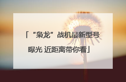 “枭龙”战机最新型号曝光 近距离带你看