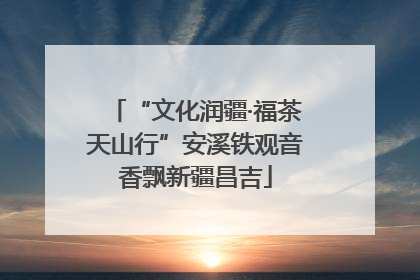 “文化润疆·福茶天山行”安溪铁观音香飘新疆昌吉