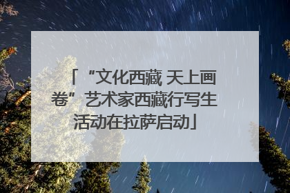 “文化西藏 天上画卷”艺术家西藏行写生活动在拉萨启动
