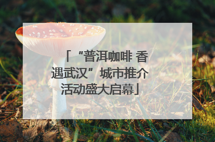 “普洱咖啡 香遇武汉”城市推介活动盛大启幕
