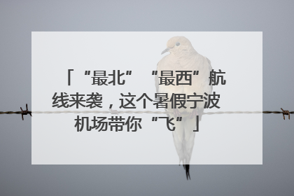 “最北”“最西”航线来袭，这个暑假宁波机场带你“飞”