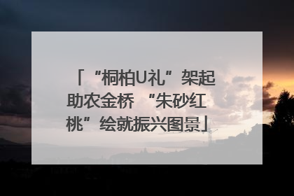 “桐柏U礼”架起助农金桥 “朱砂红桃”绘就振兴图景