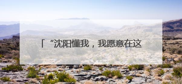 “沈阳懂我，我愿意在这里扎根”——2025“博士沈阳行”活动侧记