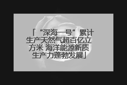 “深海一号”累计生产天然气超百亿立方米 海洋能源新质生产力蓬勃发展