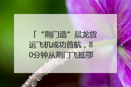 “荆门造”晨龙货运飞机成功首航，80分钟从荆门飞抵鄂州花湖机场