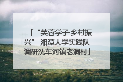 “芙蓉学子·乡村振兴” 湘潭大学实践队调研洗车河镇老洞村