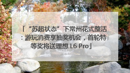 “苏超状态”下常州花式整活：游玩消费享抽奖机会，首轮特等奖将送理想 L6 Pro