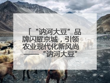 “讷河大豆”品牌闪耀京城，引领农业现代化新风尚——“讷河大豆”品牌新发地推介会圆满落幕