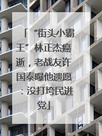 “街头小霸王”林正杰癌逝，老战友许国泰曝他遗愿：没打垮民进党