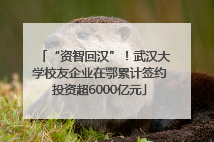 “资智回汉”！武汉大学校友企业在鄂累计签约投资超6000亿元