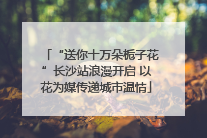 “送你十万朵栀子花”长沙站浪漫开启 以花为媒传递城市温情