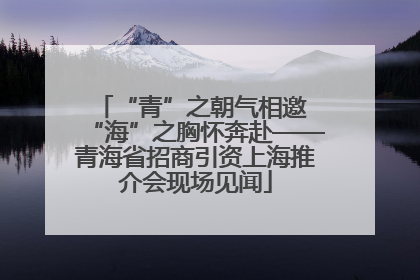 “青”之朝气相邀 “海”之胸怀奔赴——青海省招商引资上海推介会现场见闻