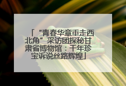 “青春华章重走西北角”采访团探秘甘肃省博物馆：千年珍宝诉说丝路辉煌