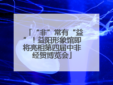 “非”常有“益”！益阳形象馆即将亮相第四届中非经贸博览会