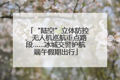 “陆空”立体防控、无人机巡航重点路段……冰城交警护航端午假期出行